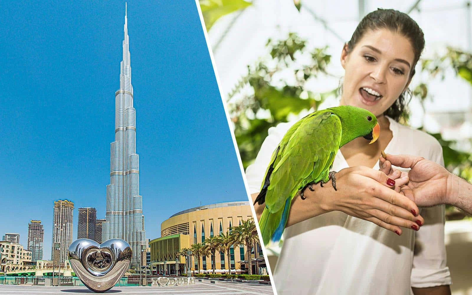 Combo (Save 17%): Burj Khalifa At the Top + Green Planet Tickets