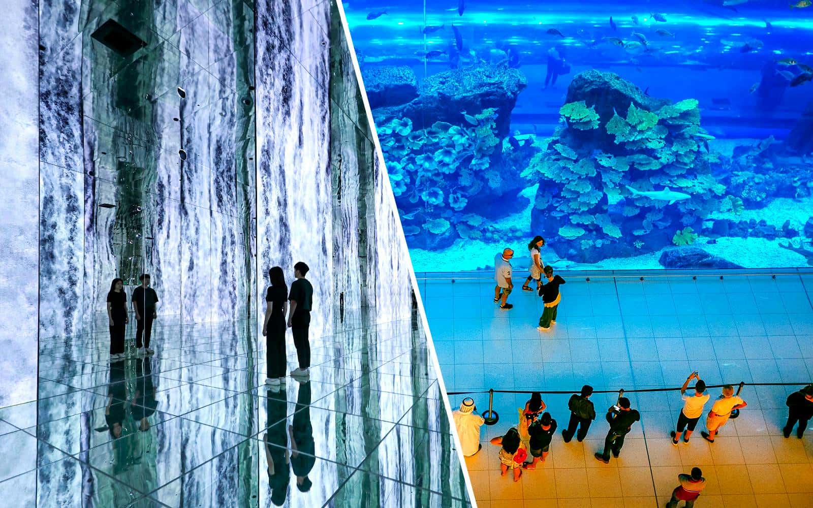 Combo (Save 14%): ARTE MUSEUM Dubai + Dubai Aquarium & Underwater Zoo Tickets