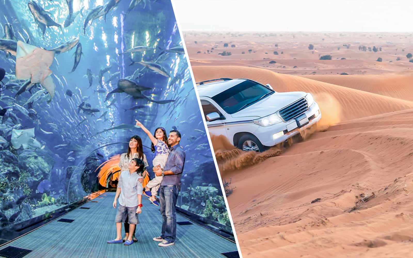 Combo (Save 18%): Burj Khalifa + Desert Safari + Dubai Aquarium & Underwater Zoo