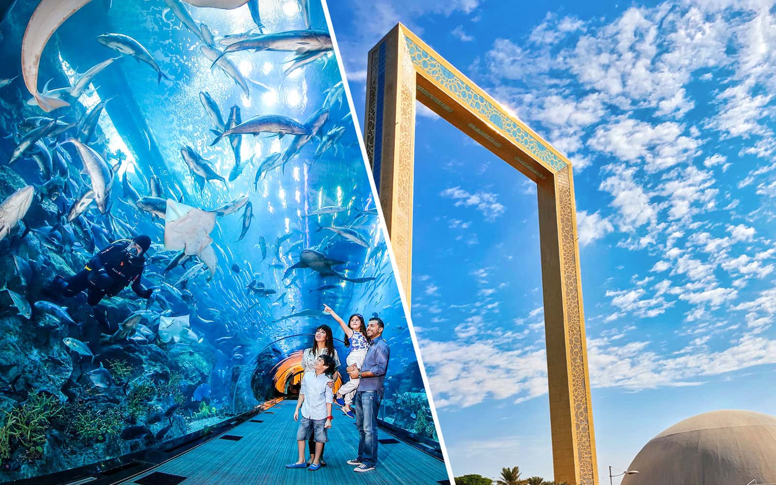 Combo (Save 20%): Dubai Frame Tickets + Dubai Aquarium & Underwater Zoo Tickets