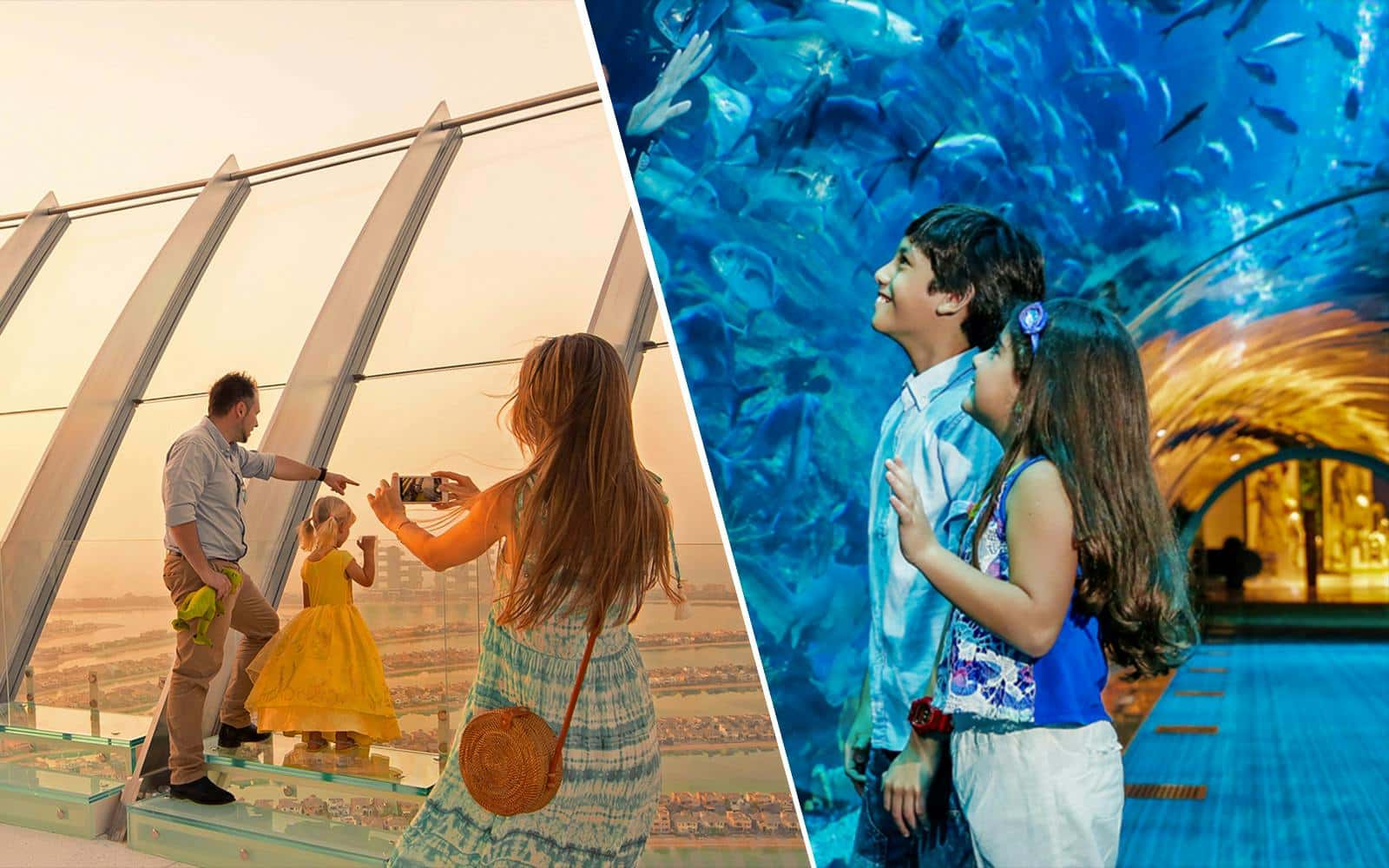 Combo (Save 21%): View At The Palm + Dubai Aquarium & Underwater Zoo Tickets
