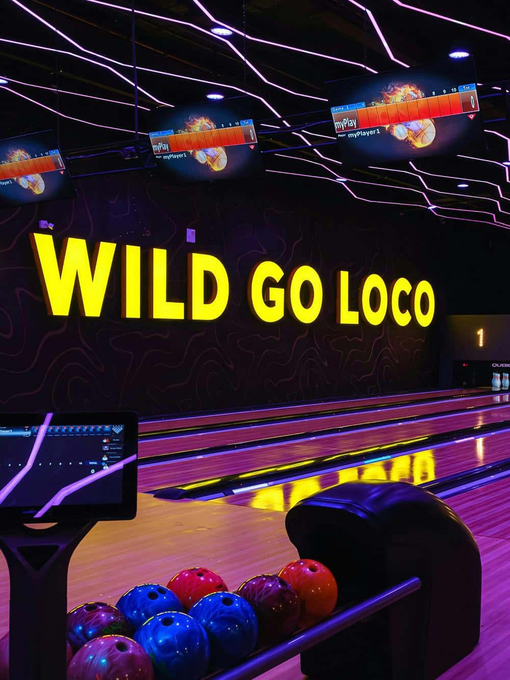 Loco Bear Dubai