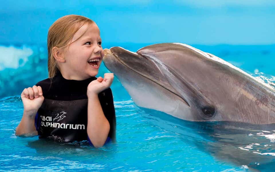 Dubai Dolphinarium: Dolphin & Seal Show Tickets